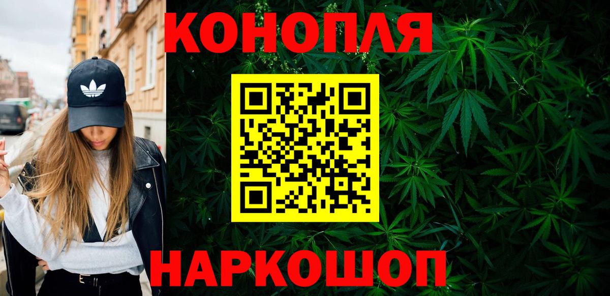 Каннабис сатива Красноармейск